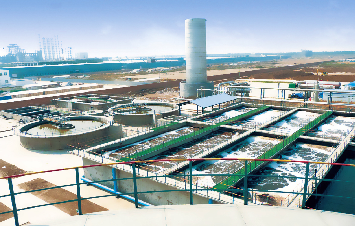 Shandong Dongfang Hualong Industry and Trade Group